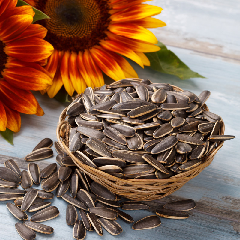 Sunflower seeds