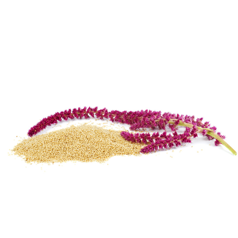 Amaranth seed