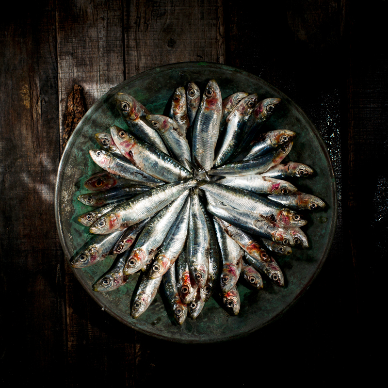 sardines (raw)